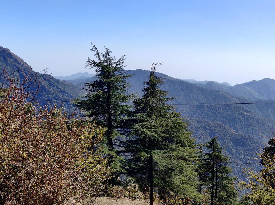 Divine Home Stay主图