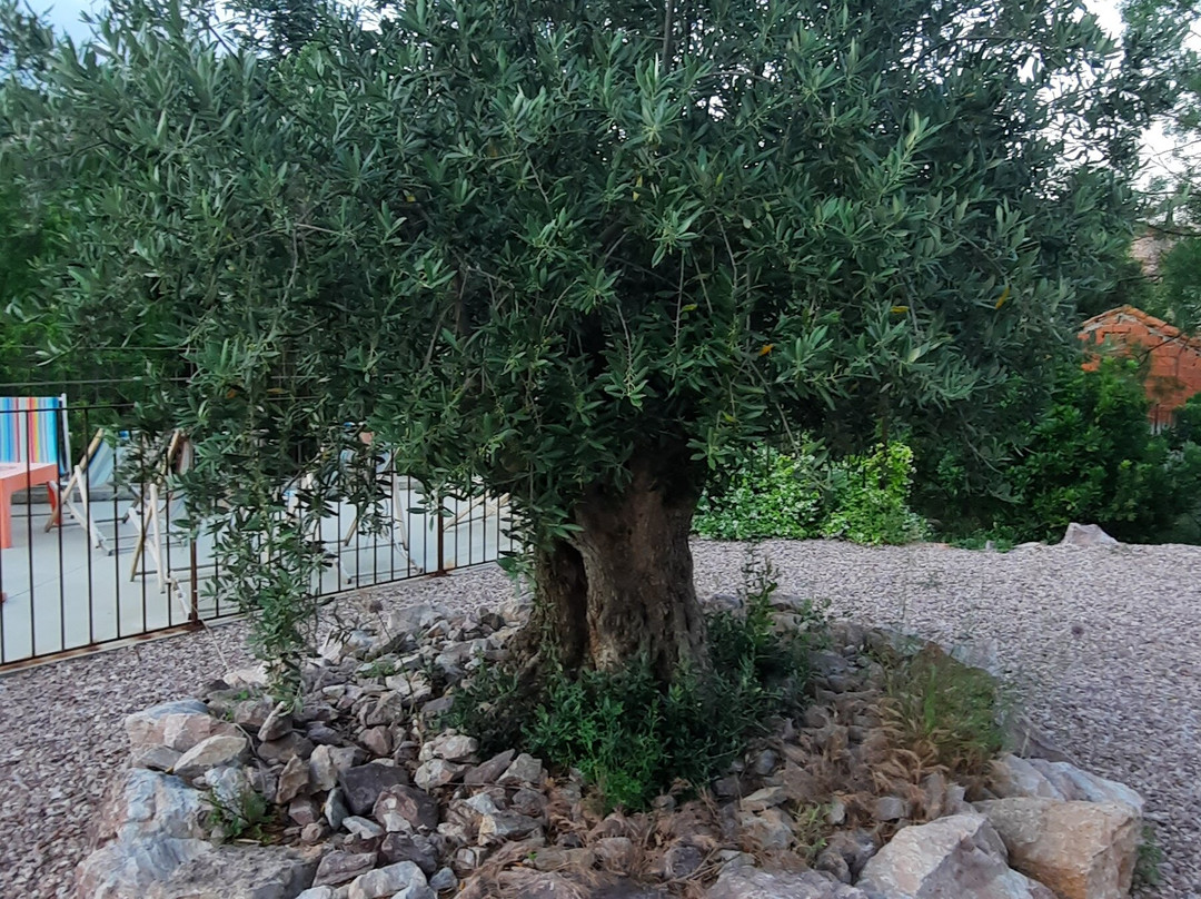 Hotel Le Minervois主图