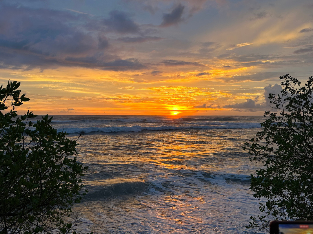 Bfit Retreat-塔马林多必去景点