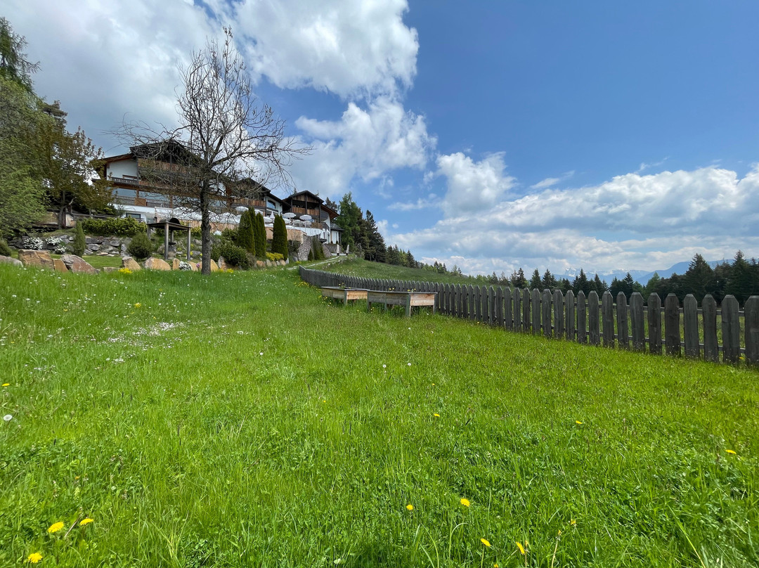 Renon酒店住宿-Hotel Tann