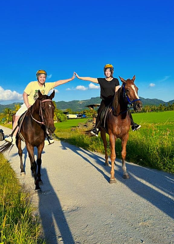 Prominent Stables & Recreation Sdn Bhd-浮罗山背必去景点