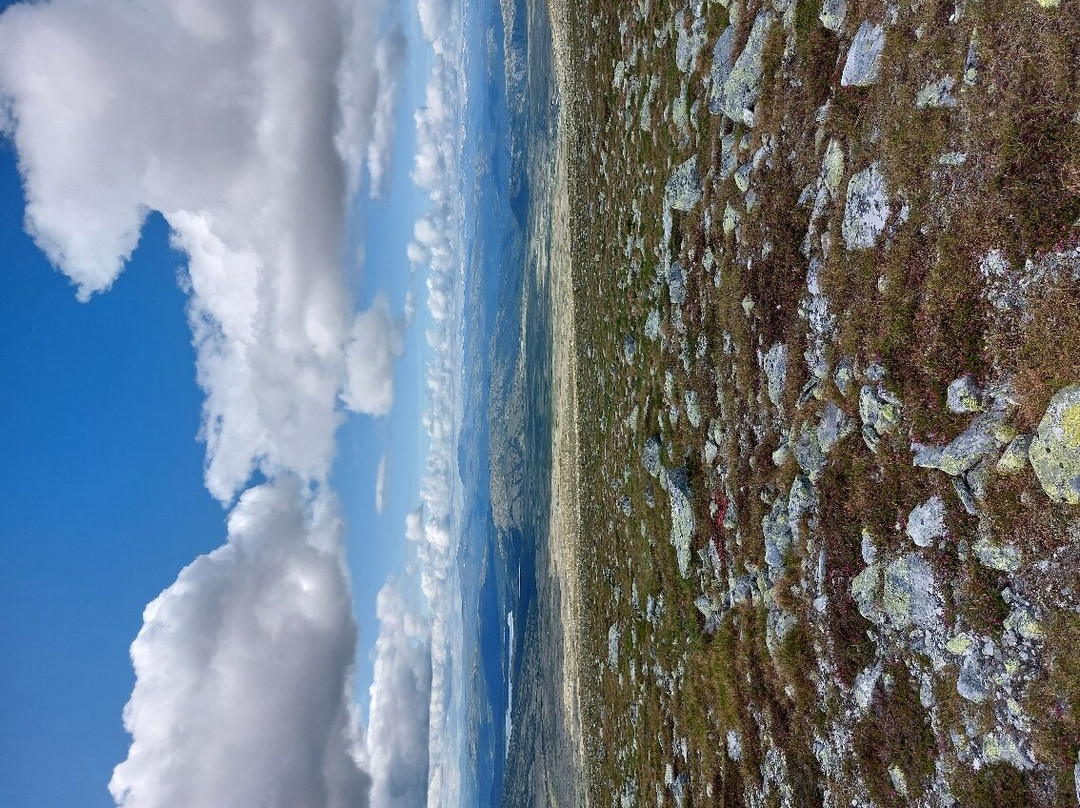 Rondane National Park景点图片