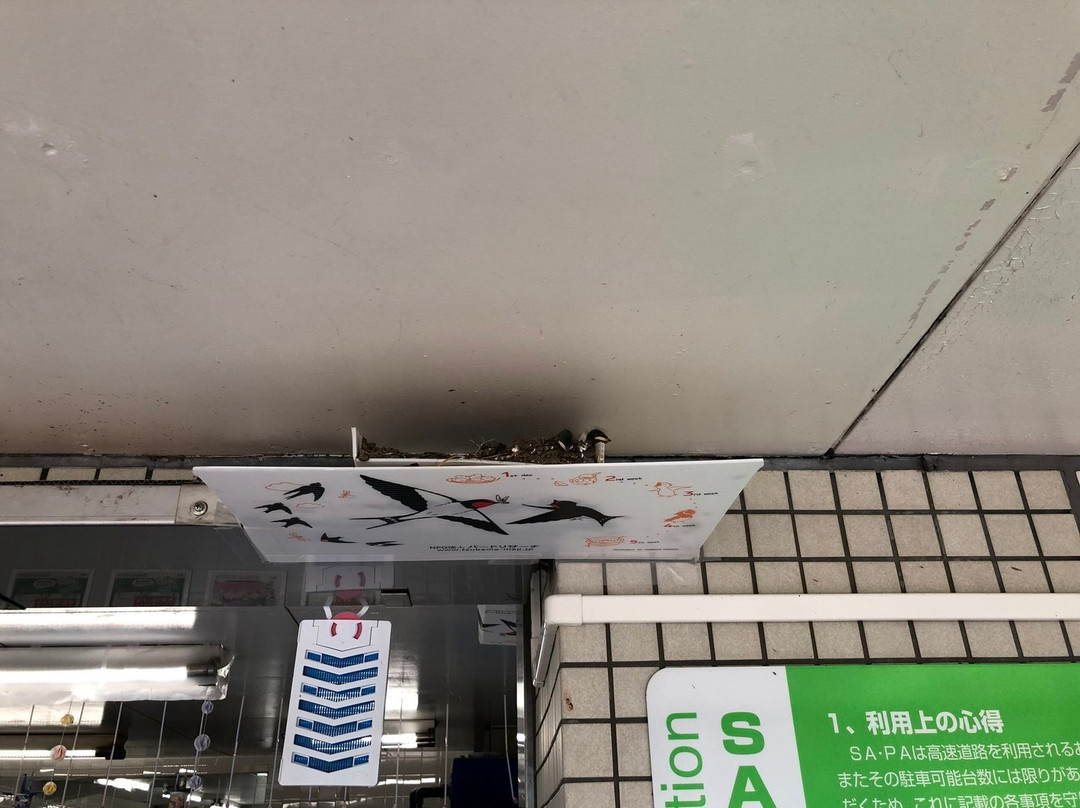 Kamikawachi Service Area Outbound Line-宇都宫市必去景点