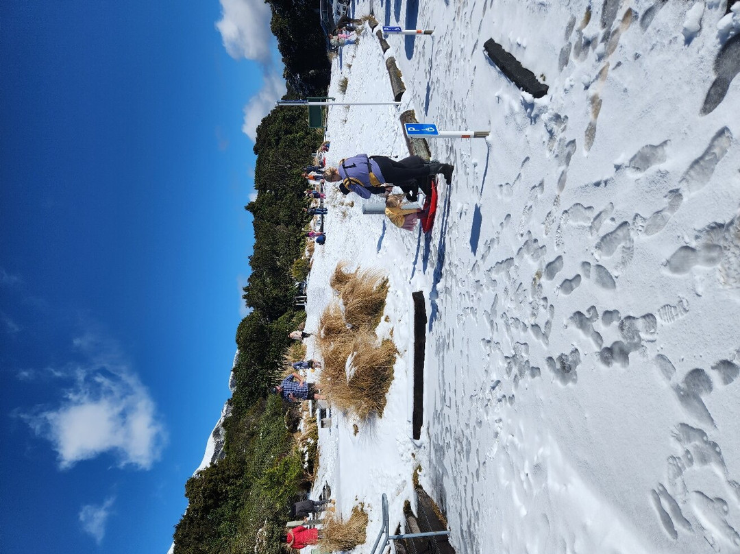 Egmont National Park Visitor Centre景点图片