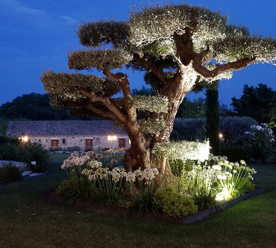 Art Treks-达拉斯必去景点