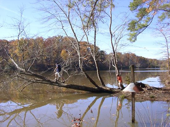 Anne Springs Close Greenway-米尔堡必去景点