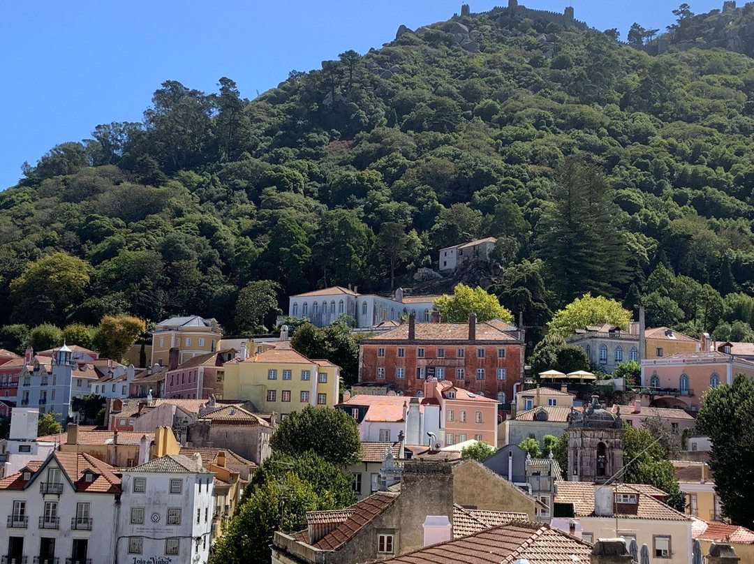 Modern Tours-里斯本必去景点