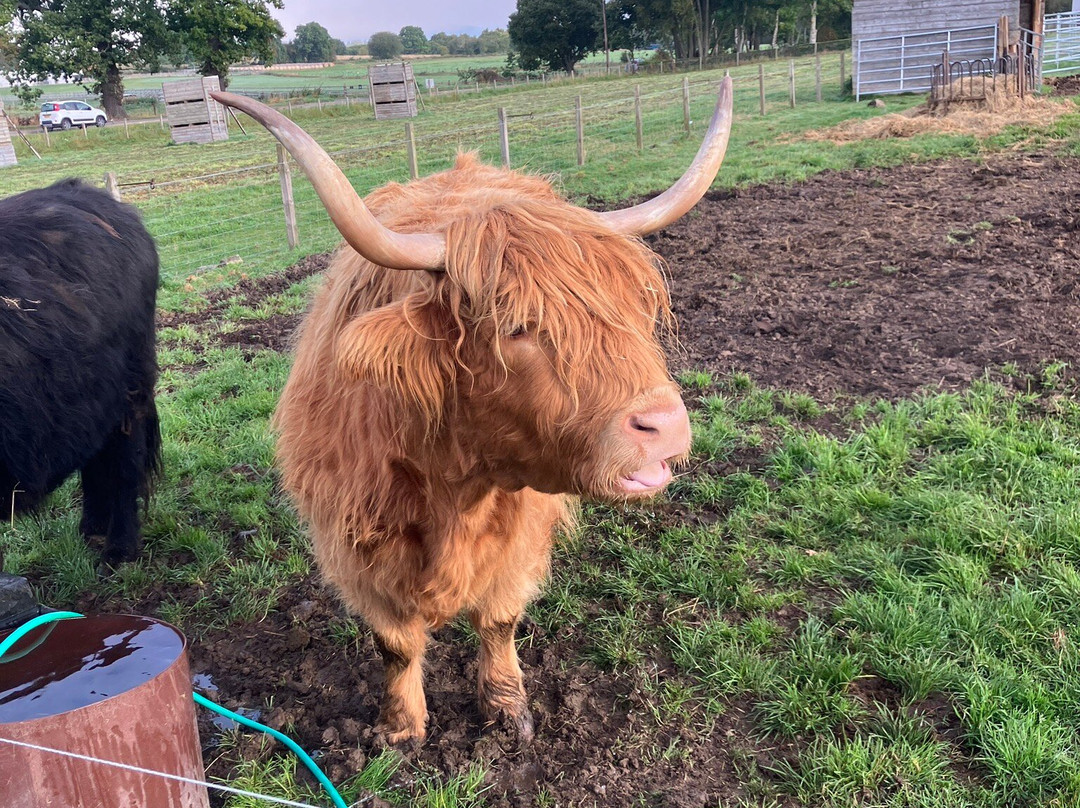 Highland Tours Inverness-因弗内斯必去景点