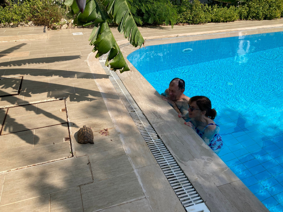 Pasha Apart-Hotel主图