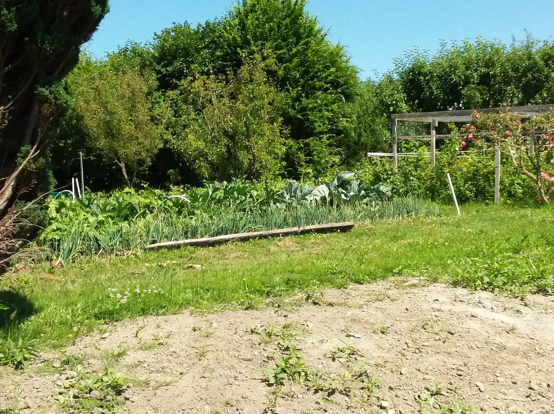 Au jardin sur l'eau主图