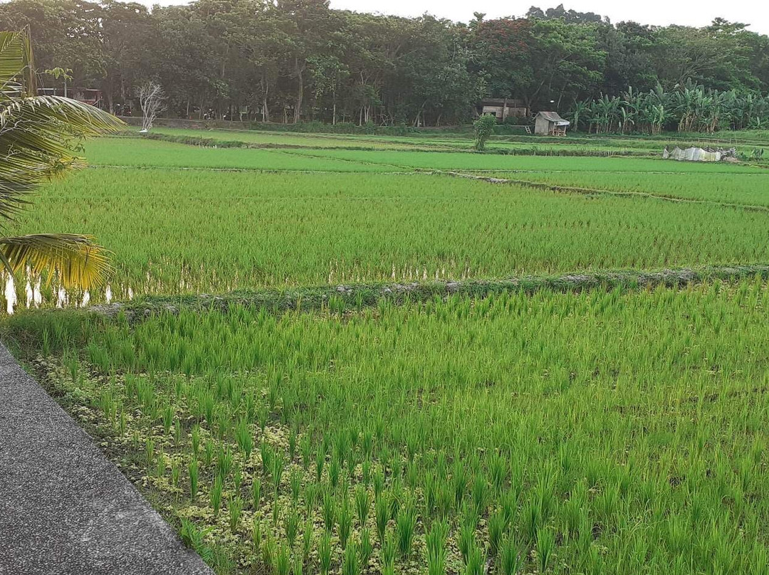 Bali Essentiel-登巴萨必去景点