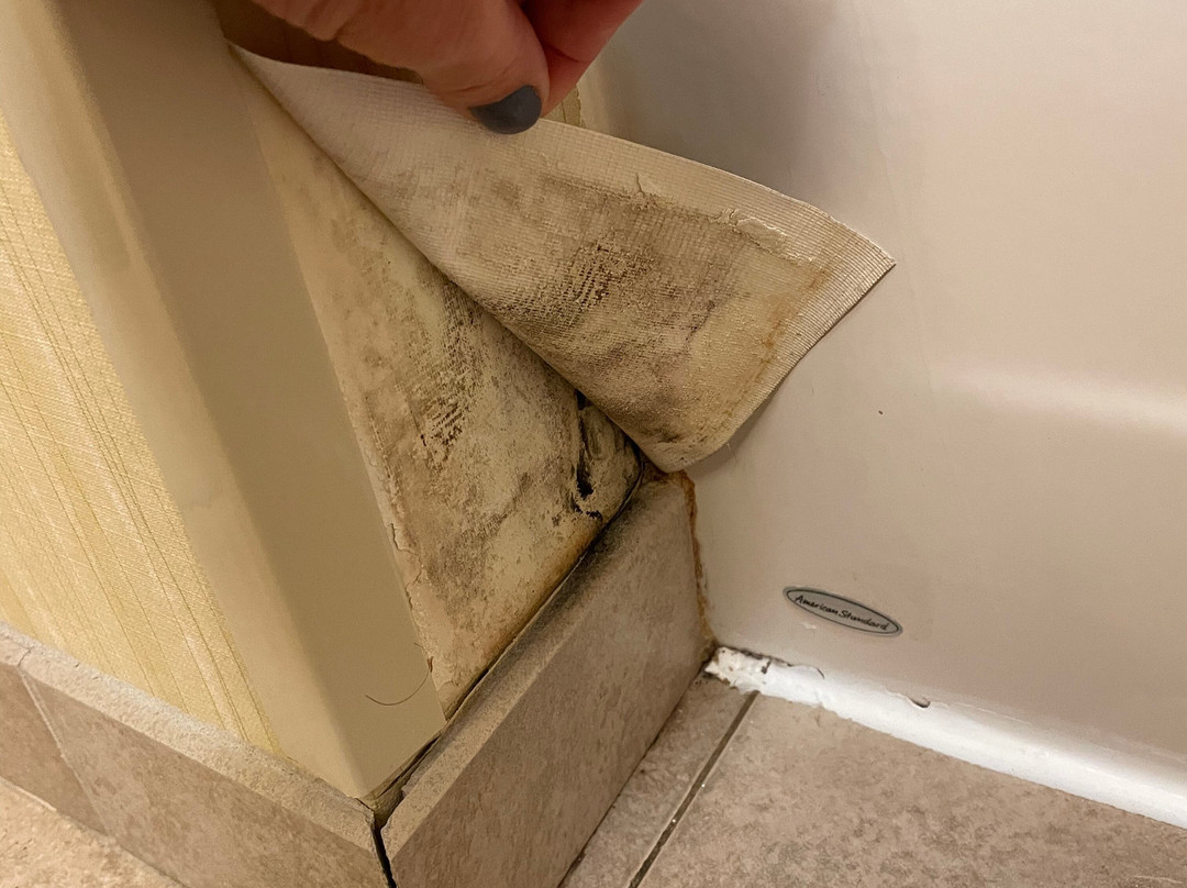 德威特快捷假日&套房酒店（锡拉丘兹）主图