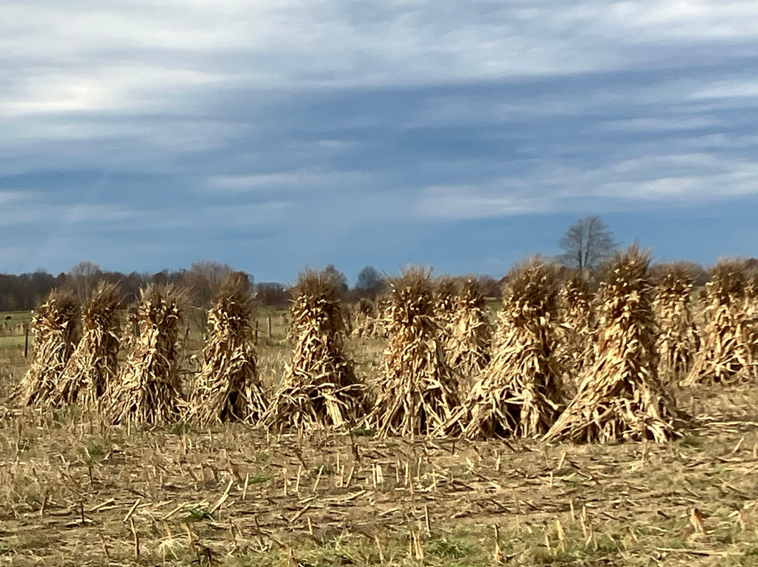 Simple Life Tours - Amish Tours-New Wilmington必去景点