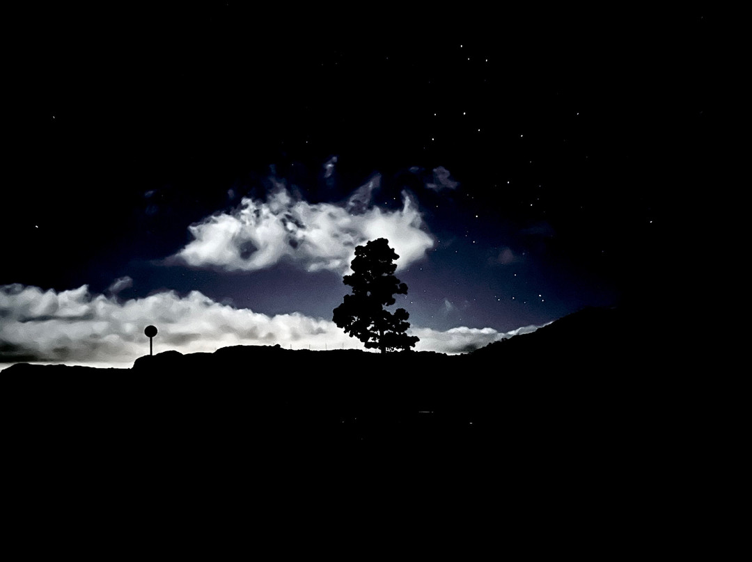 Epic Tours Gran Canaria-大加那利岛拉斯帕尔马斯必去景点