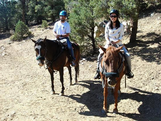 Baldwin Lake Stables-大熊湖必去景点