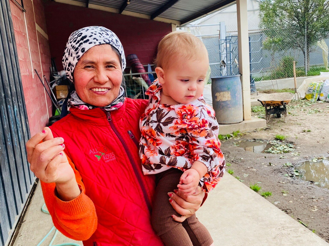 Ecuador Best Tours-基多必去景点