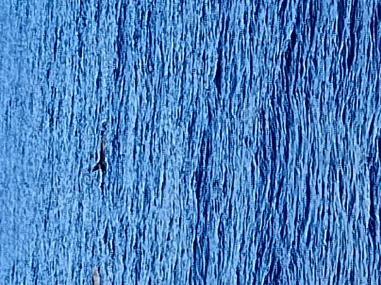 Magic Dolphin-沙尔必去景点