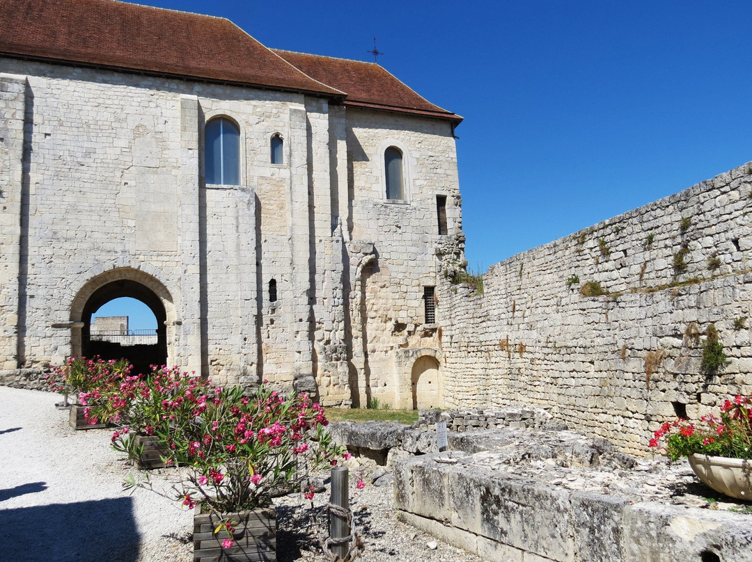 Chateau de Villebois-Lavalette景点图片