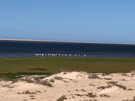 Dakhla travel-达赫拉必去景点