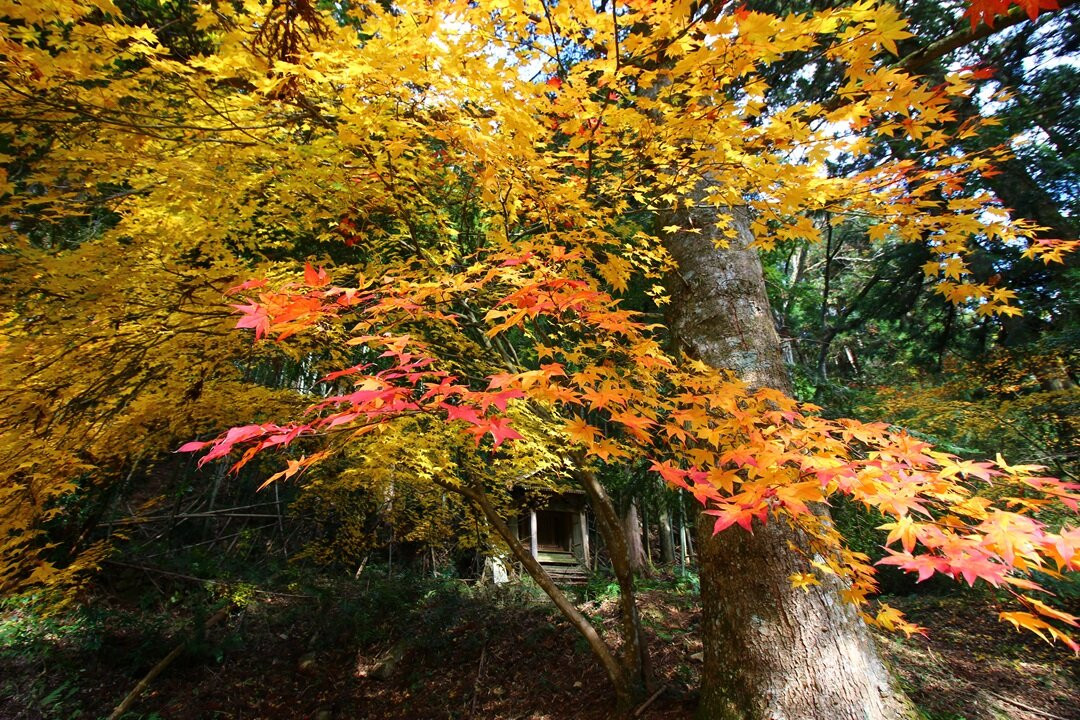 Kuki Silver Mine Ruins-邑南町必去景点