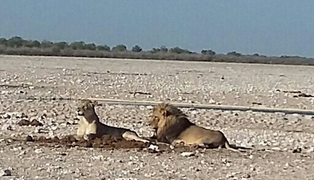 Nali Safaris Namibia-温德和克必去景点