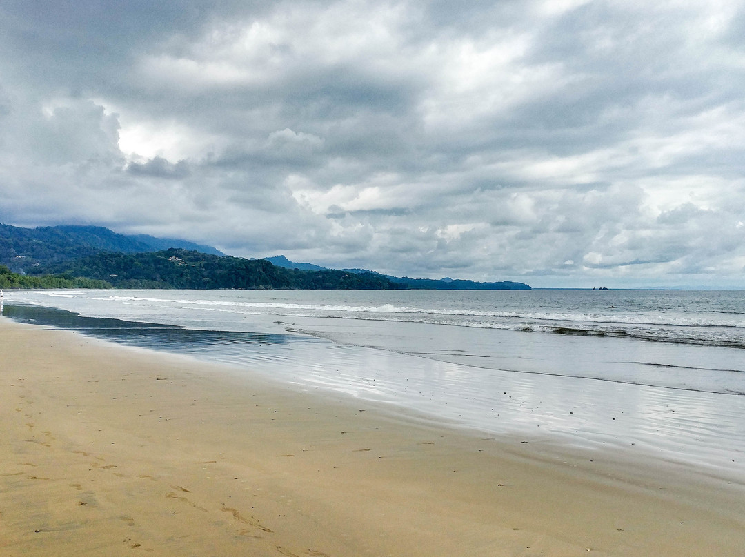 B&B Jardin de los Monos主图