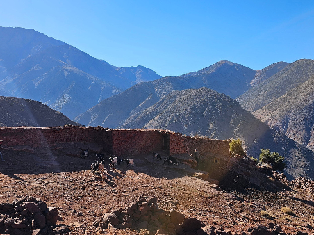 Berber Magic Tours景点图片