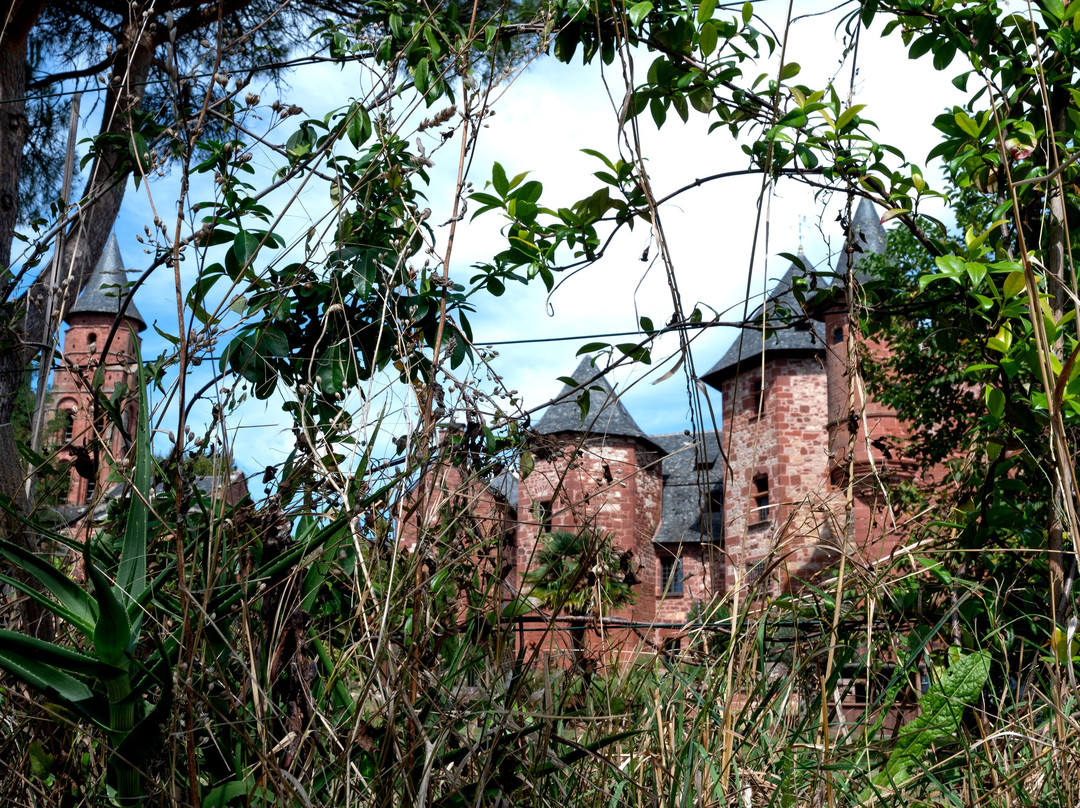 Château de Vassinhac景点图片