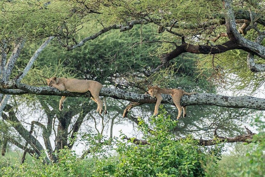 loveafricaexpedition-莫西必去景点