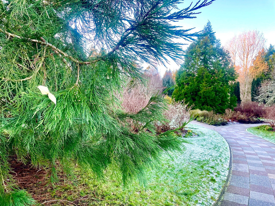 Hazlehead Park-阿伯丁必去景点