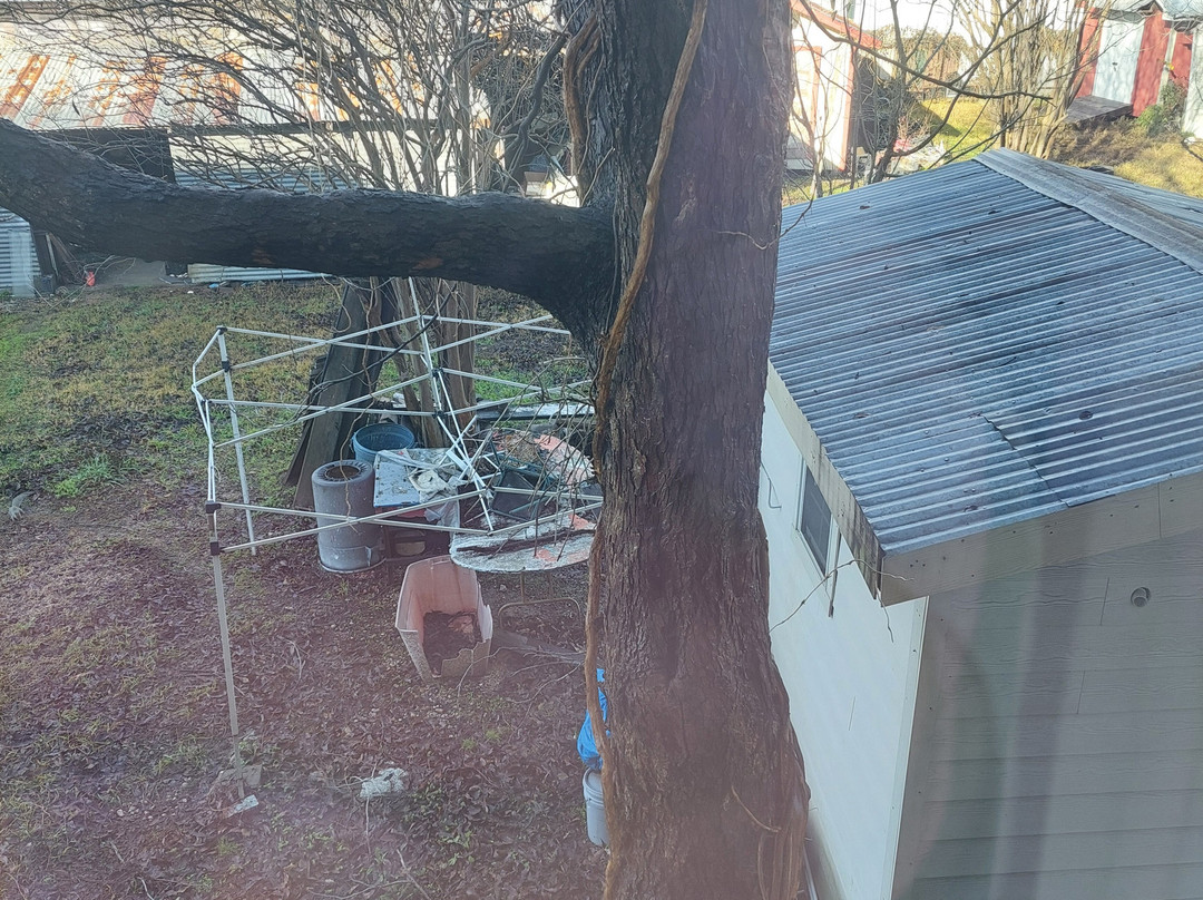 La Quinta Inn & Suites by Wyndham Houston East at Normandy主图