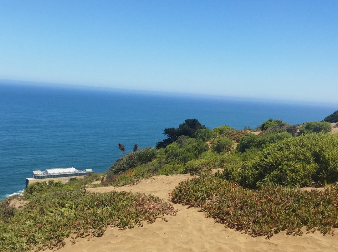 Playa Caleta Abarca-比尼亚德尔马必去景点