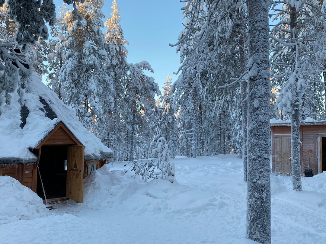 Aurora eMotion - Electric Snowmobile Safaris-罗瓦涅米必去景点