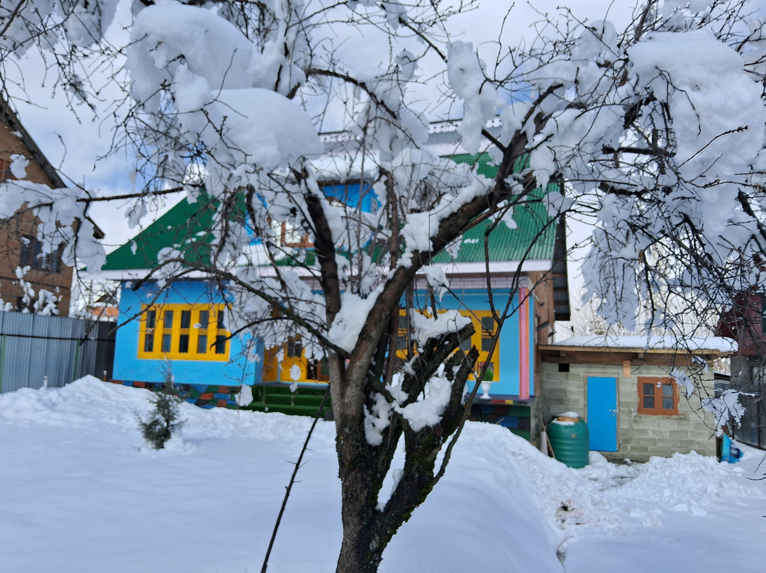 Conifer View Guest House