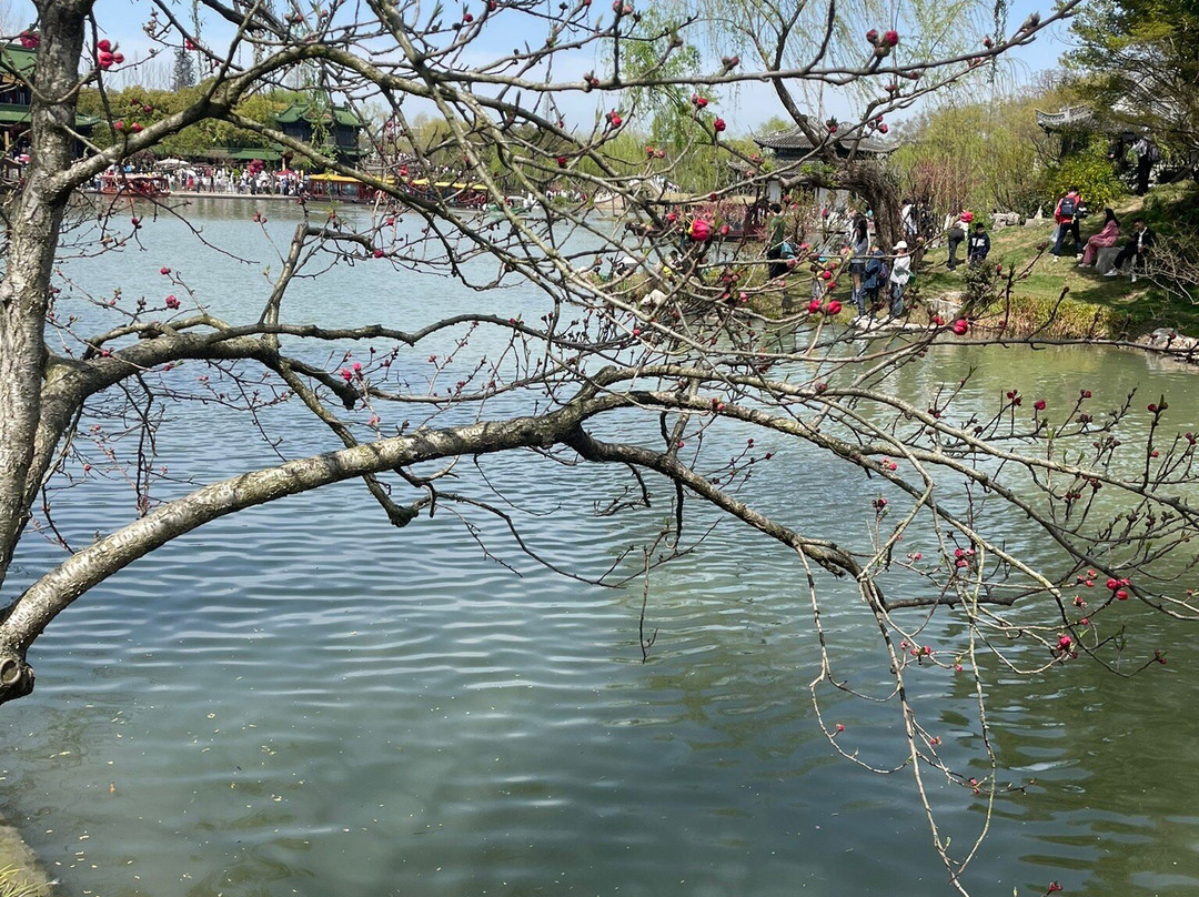 Lead to China-合肥市必去景点