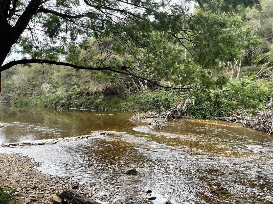 Doctors Creek Reserve景点图片