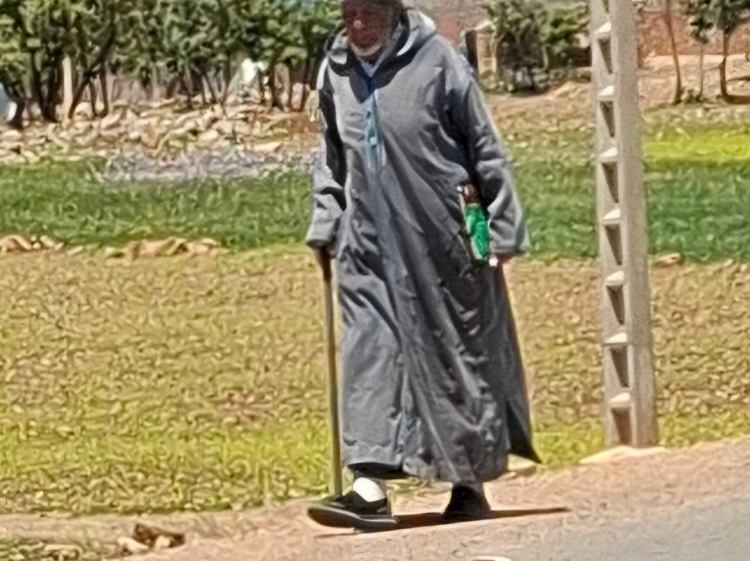 Chems Le Tazarkount主图