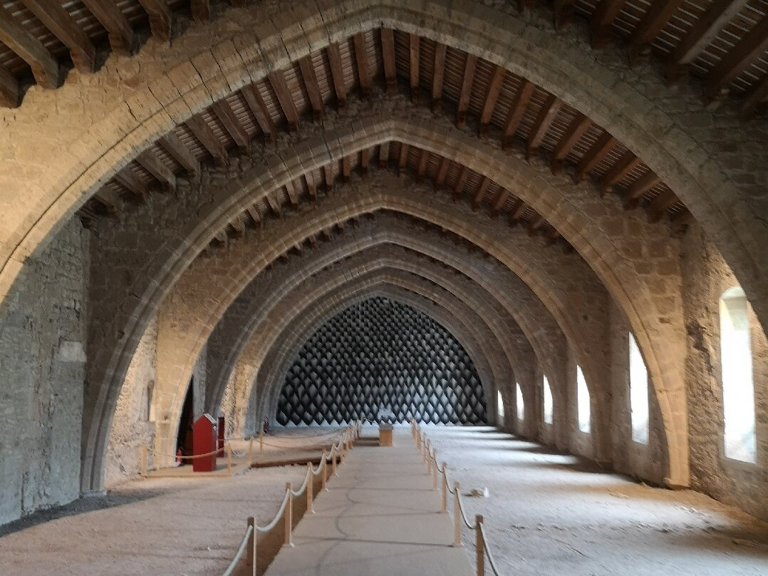 Abbaye Médiévale De Lagrasse, Centre Culturel Les Arts De Lire景点图片