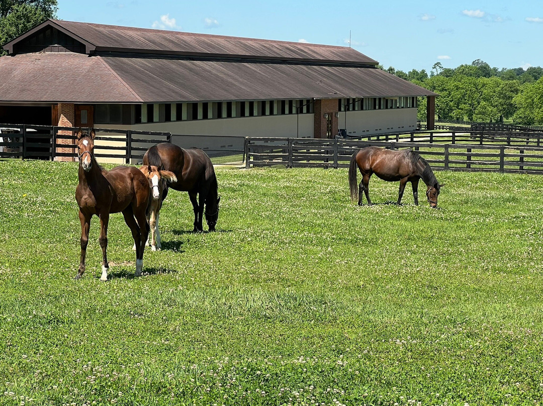 Lane's End-Versailles必去景点
