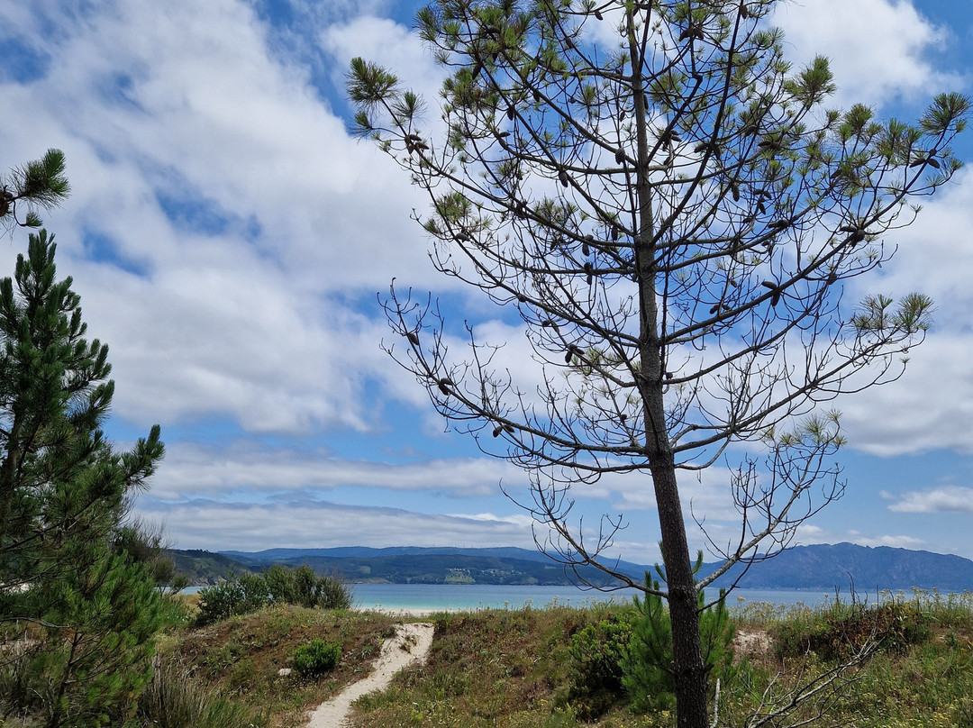 Playa Lagosteira景点图片