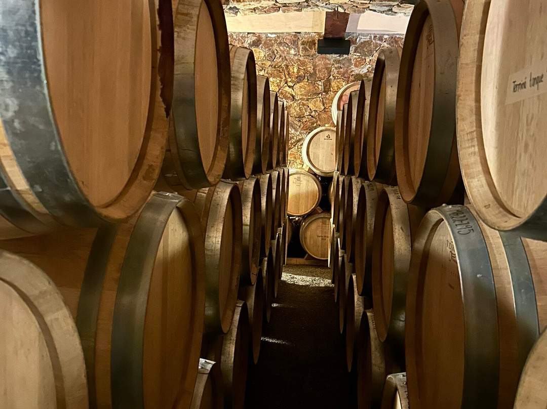 Vinicola Mogor Badan景点图片