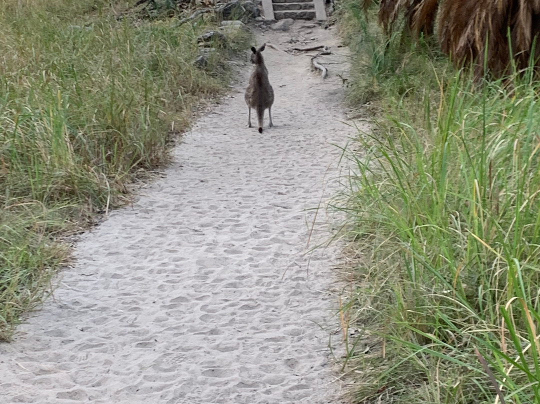 Azure Nature Tours-Carnarvon National Park必去景点