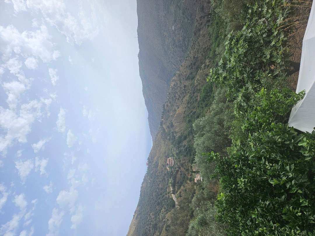 Agriturismo L'Uliveto主图