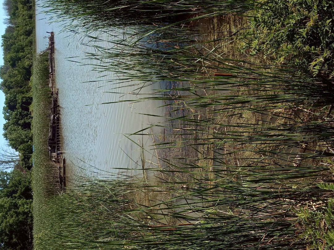 Erie Canal Trail景点图片