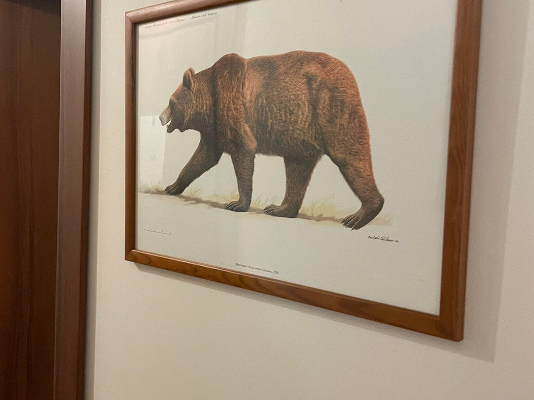 B&B Cascina Dell'Orso主图