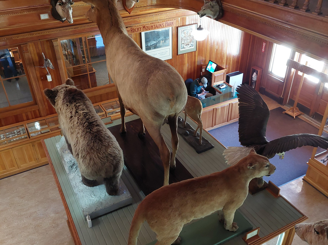 Banff Park Museum-班夫必去景点