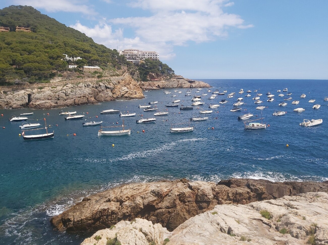 Cala d'Aiguafreda景点图片