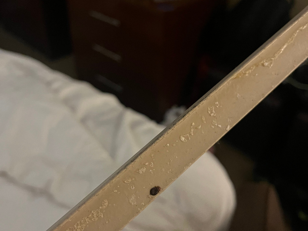 Comfort Suites - Kings Island主图