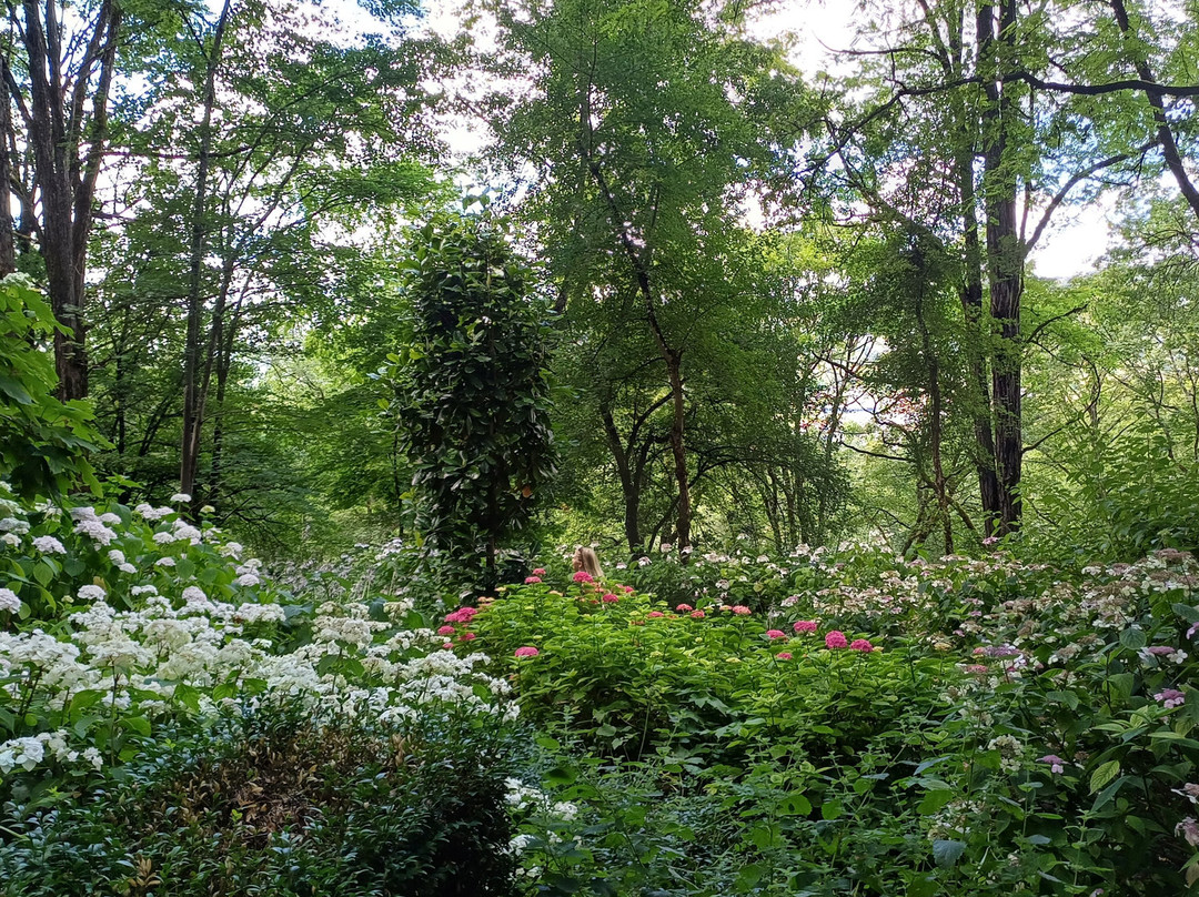 Les Jardins De L'Imaginaire景点图片