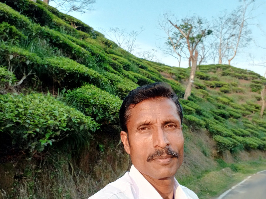 GandhiBagh Park景点图片